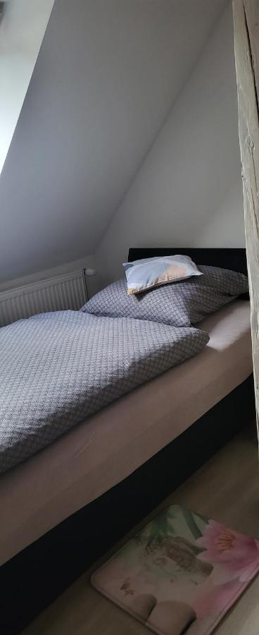 Apartman Dany Hanusovice ภายนอก รูปภาพ