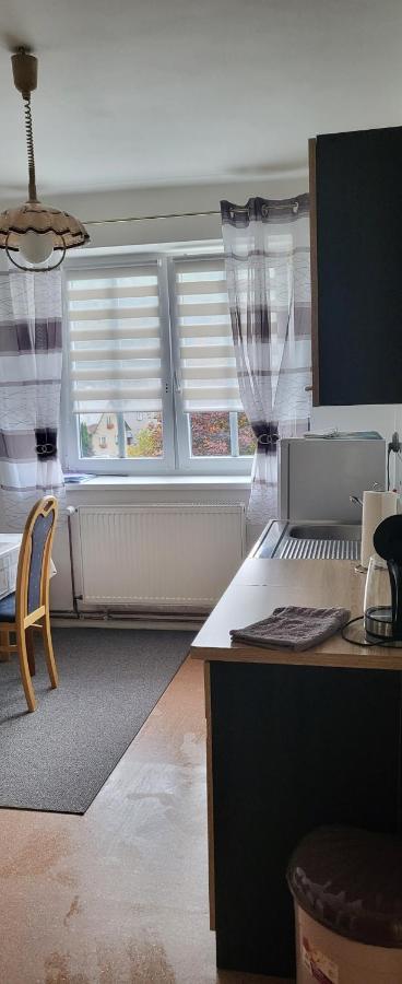 Apartman Dany Hanusovice ภายนอก รูปภาพ