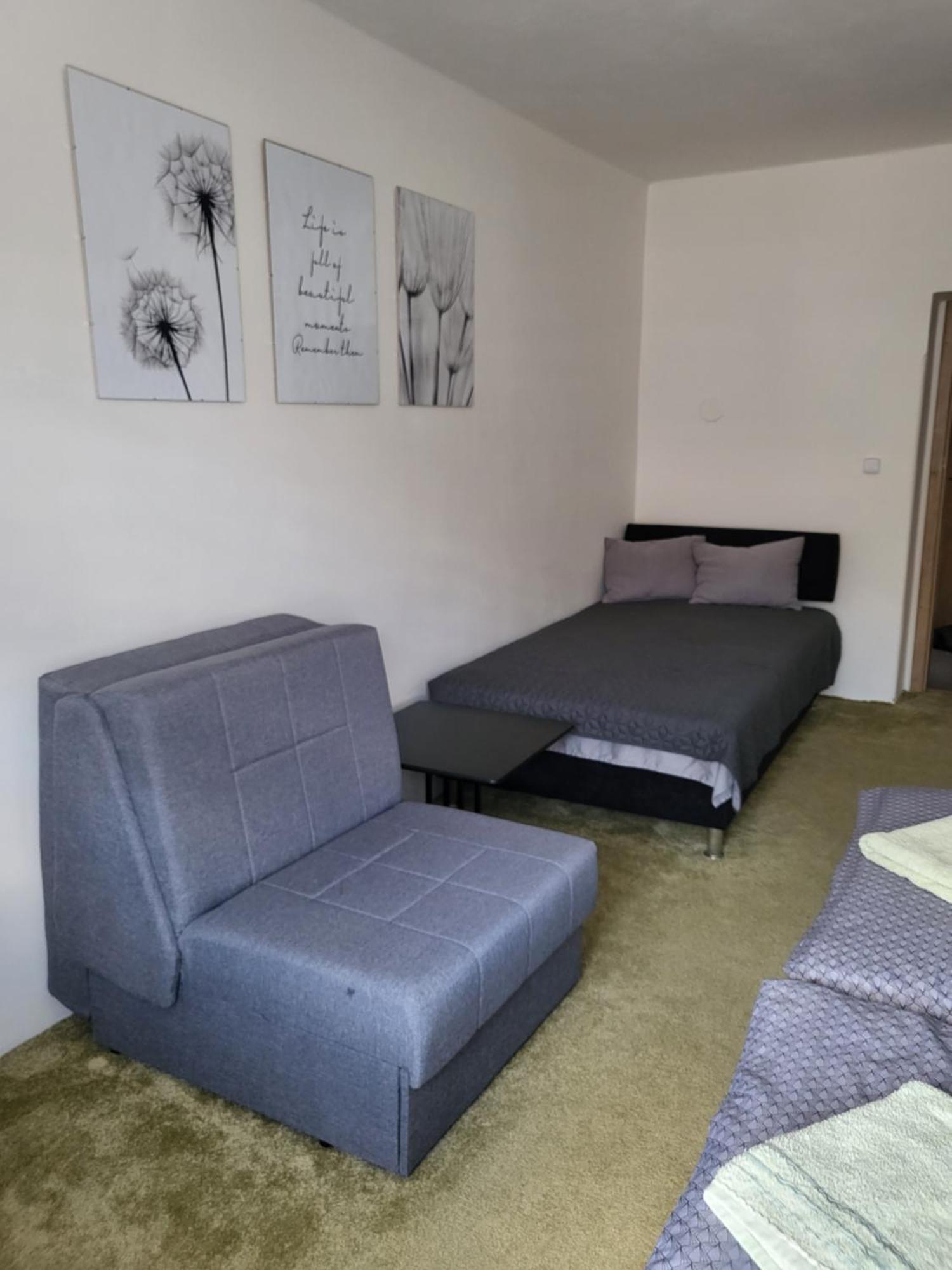 Apartman Dany Hanusovice ภายนอก รูปภาพ